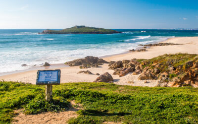 Costa Vicentina: Dein FKK-Traumurlaub