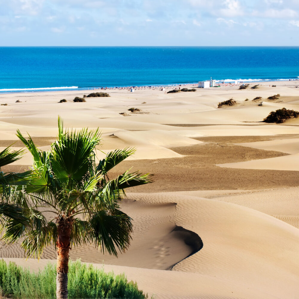 Coastline with sand dunes of Maspalomas. Gran Canaria, Canary Islands FKK-Strand in den Dünen von Maspalomas, Gran Canaria, Kanaren, Spanien