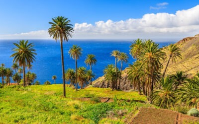 FKK-Traumurlaub auf La Gomera