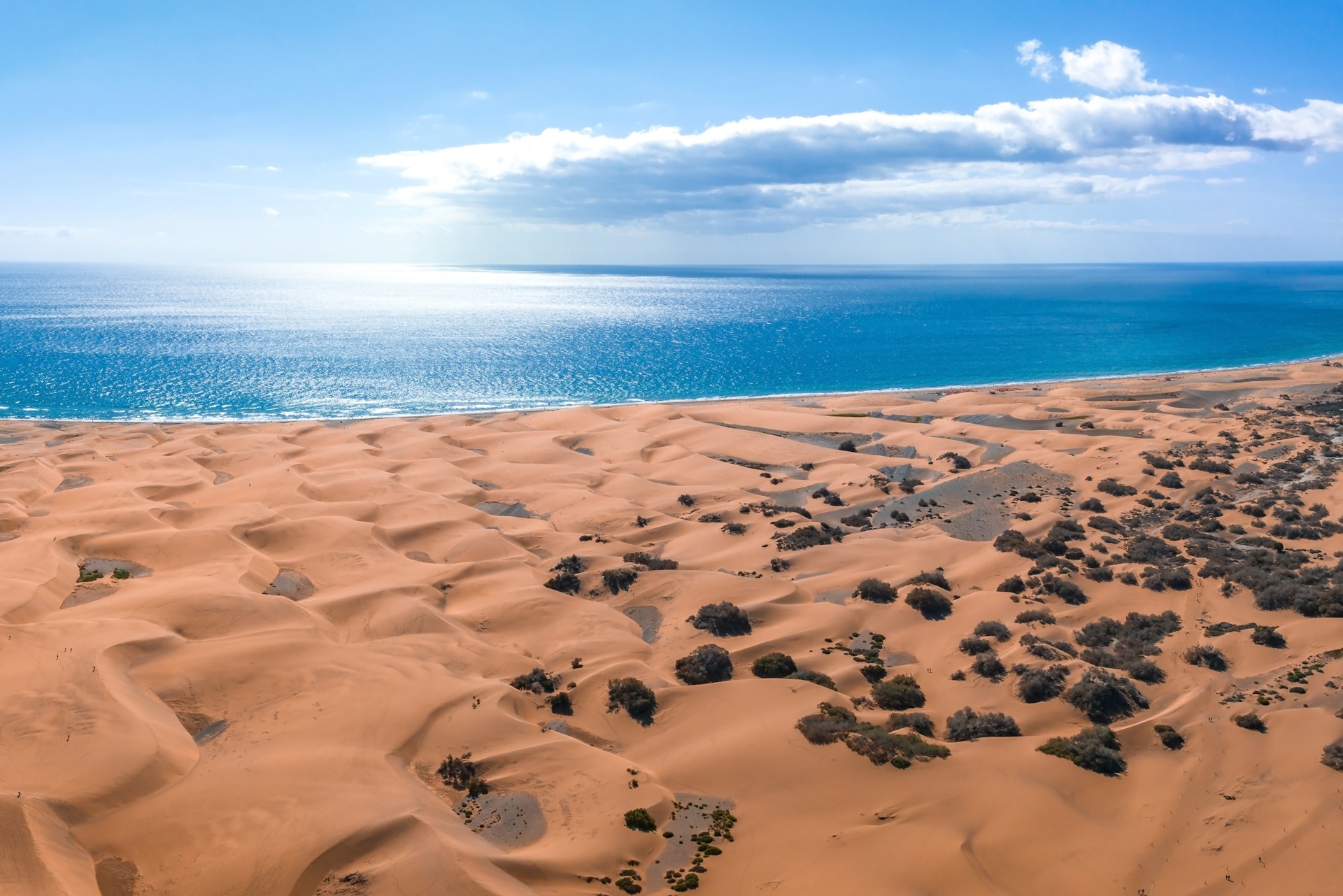 Panoramic aerial scene of the Maspalomas Dunes in Playa del Inglesias Gran Canaria