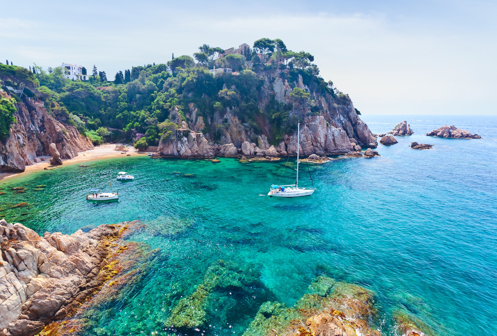 Topless young woman covering her breasts by hands