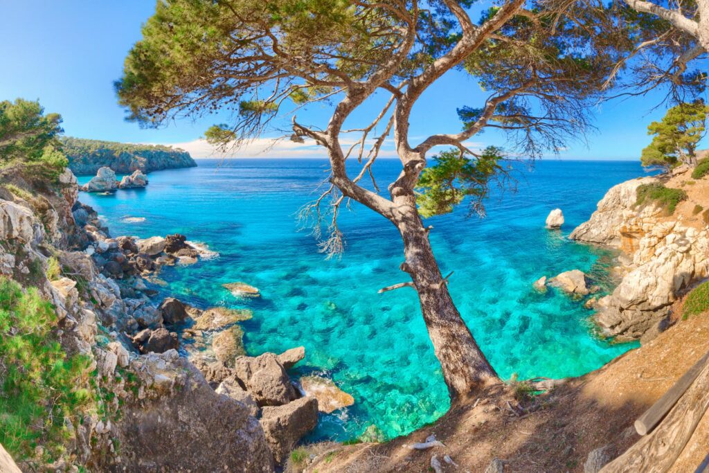 Malerische Bucht auf Mallorca mit türkisblauem Meer, Felsen und Pinien – ideal für einen entspannten FKK-Urlaub und Naturgenuss.