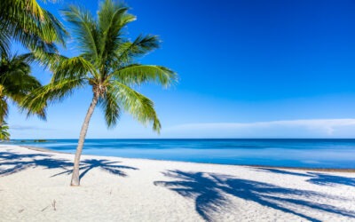 FKK-Traumurlaub in Florida