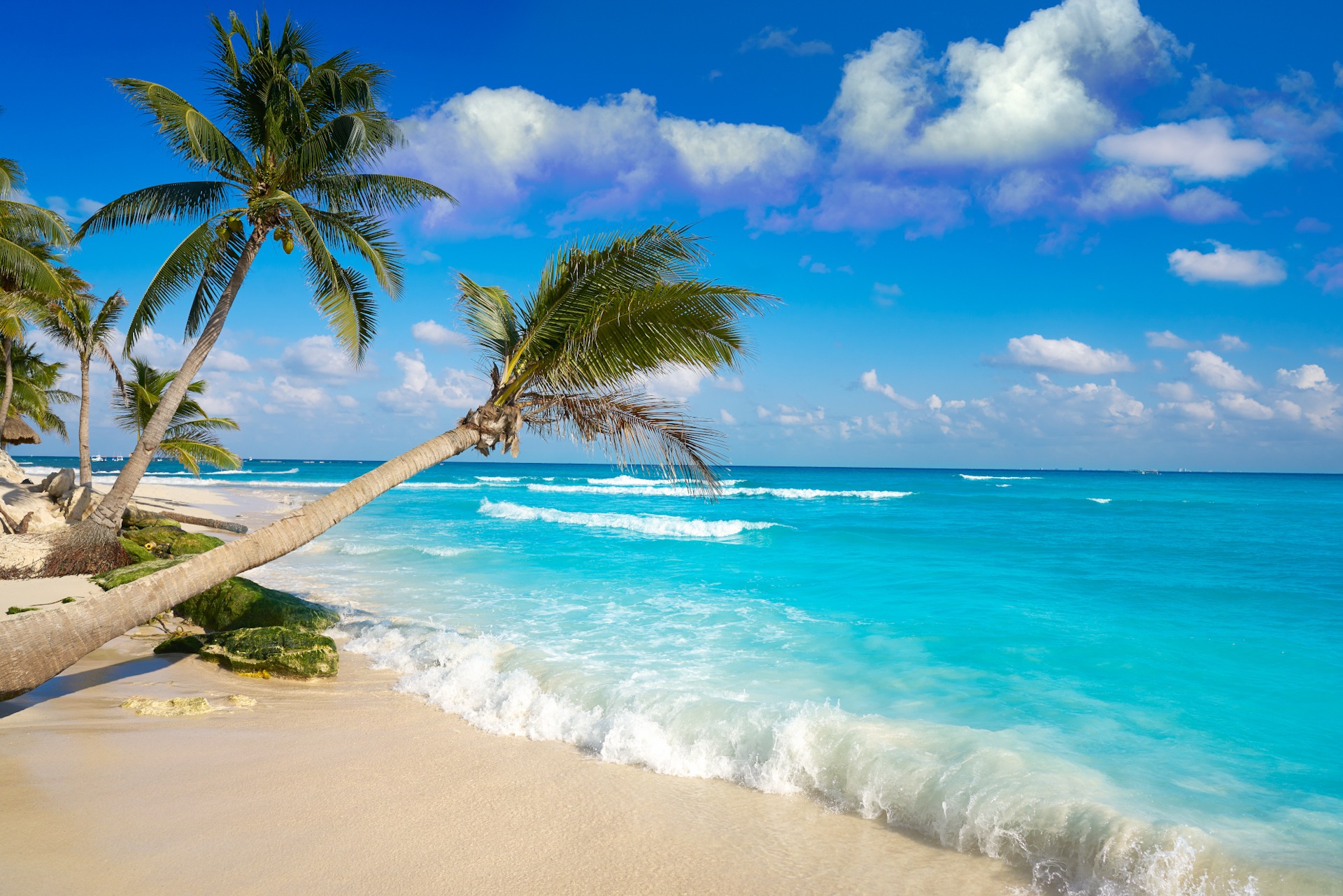 Naturist Beach Playa del Carmen beach palm trees Mexico Panoramic aerial scene of the Maspalomas Dunes in Playa del Inglesias Gran Canaria