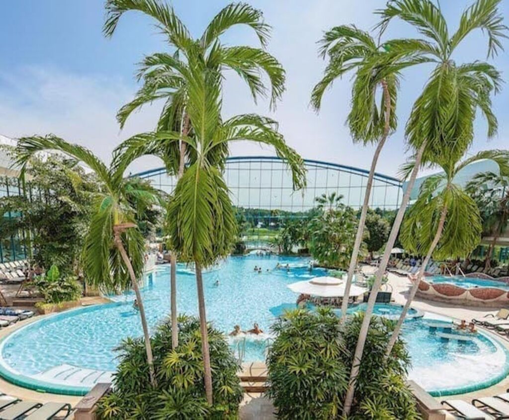 Blick auf die tropische Thermenlandschaft der Therme Bad Wörishofen mit Palmen und Thermalbecken – Symbol für FKK-Wellness und Entspannung in Bayern.