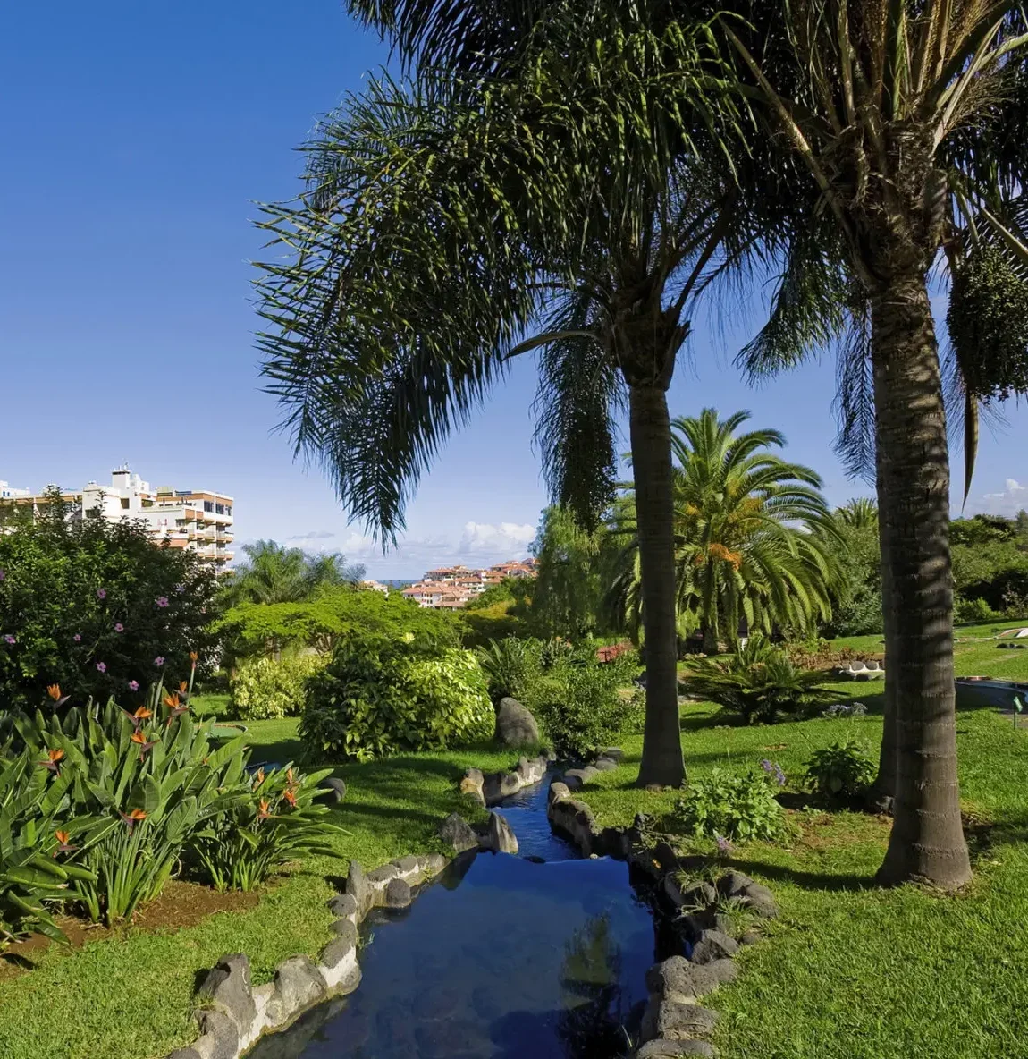 Parque Hotel Vacacional Eden Teneriffa – tropischer Garten mit Palmen und Ruhebereichen