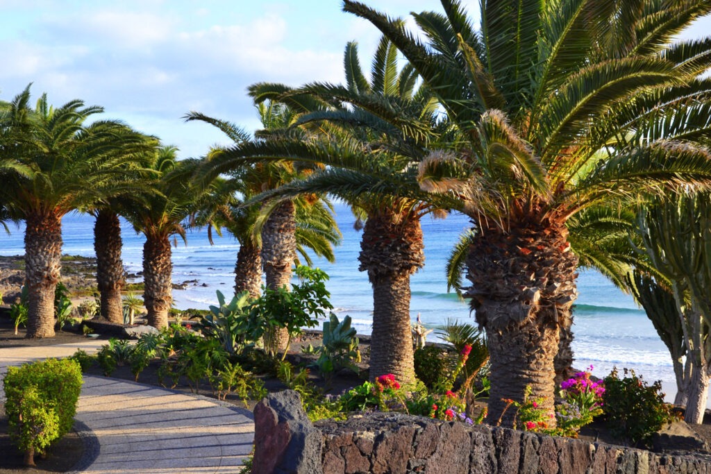 Sandy remote beaches of Fuerteventura Canary Islands Naturist Beach Playa Esqui