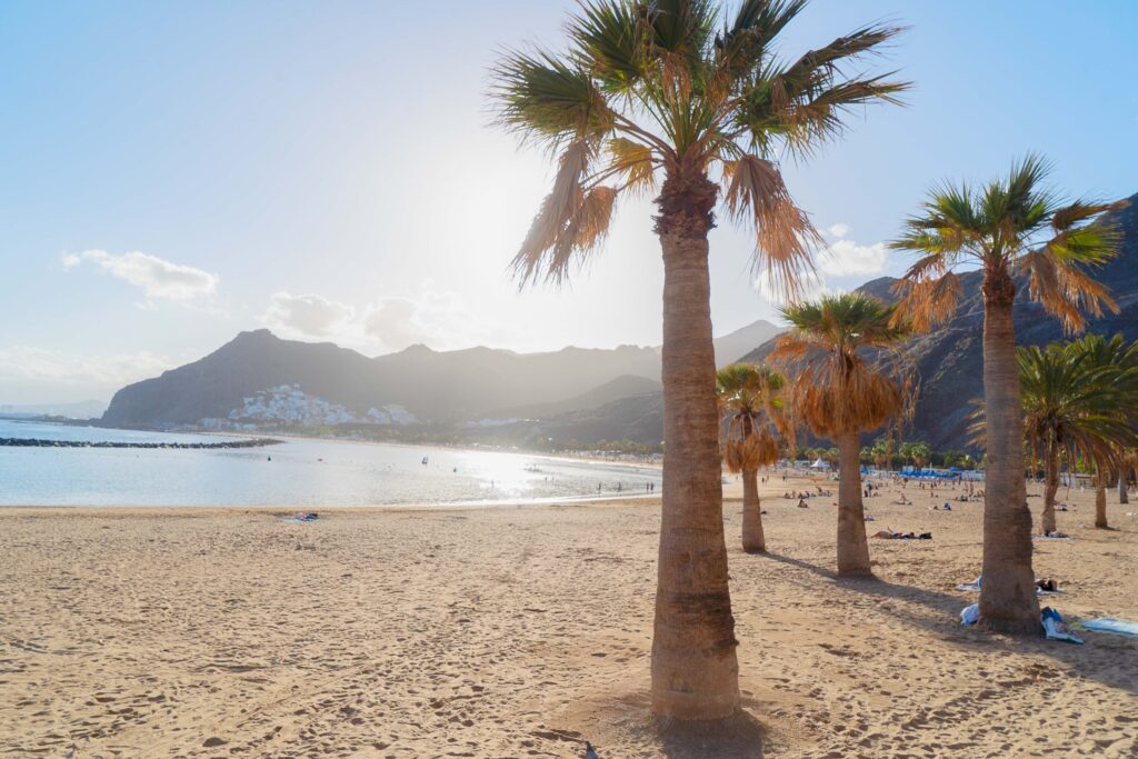 FKK Urlaub Kanaren Strand Palmen Teneriffa Sandstrand Atlantik Küste Spanien