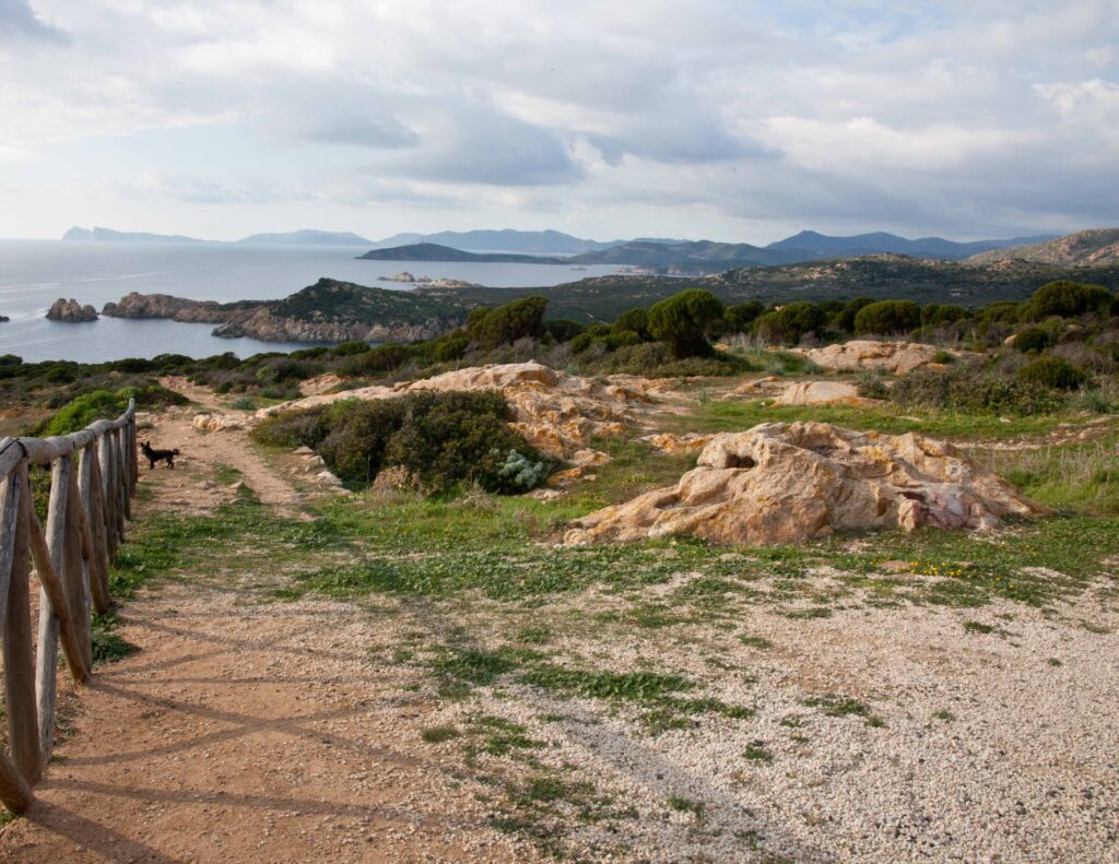 Sardegna - Spartivento Naturist Park Koversada bei Vrsar mit Meer, Inseln und FKK-Stränden
