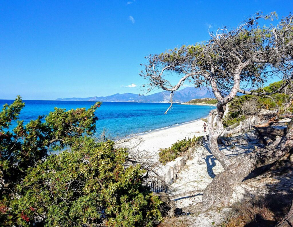Plage de saleccia Naturist Park Koversada bei Vrsar mit Meer, Inseln und FKK-Stränden