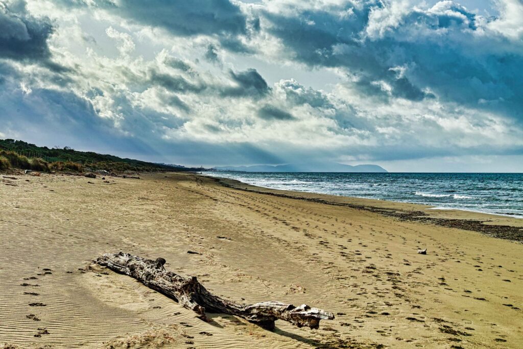 Stranded wood on the beach of Marina di Bibbona Tuscany Italy Luftaufnahme des Plage Naturiste de Cap d'Agde mit kilometerlangem Sandstrand, Yachthafen und Mittelmeerküste in Südfrankreich.