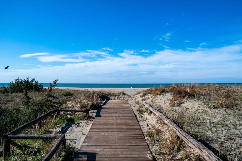 Lecciona beach in Viareggio, Tuscany Luftaufnahme des Plage Naturiste de Cap d'Agde mit kilometerlangem Sandstrand, Yachthafen und Mittelmeerküste in Südfrankreich.