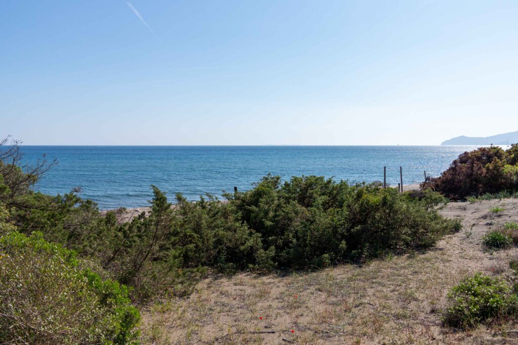 vista sul mare Luftaufnahme des Plage Naturiste de Cap d'Agde mit kilometerlangem Sandstrand, Yachthafen und Mittelmeerküste in Südfrankreich.