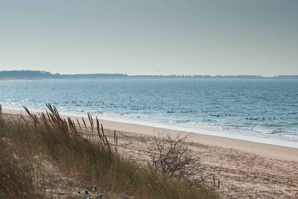 Plage des "Saumonards" à l'île d'Oléron Luftaufnahme des Plage Naturiste de Cap d'Agde mit kilometerlangem Sandstrand, Yachthafen und Mittelmeerküste in Südfrankreich.