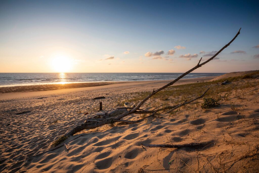 Huttopia Lanes Sud Luftaufnahme des Plage Naturiste de Cap d'Agde mit kilometerlangem Sandstrand, Yachthafen und Mittelmeerküste in Südfrankreich.